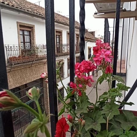 La Antigua Posada 33 Apartment กอร์โดบา ภายนอก รูปภาพ